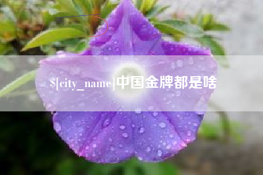 乌鲁木齐中国金牌都是啥