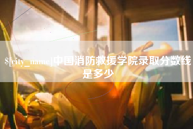 乌鲁木齐中国消防救援学院录取分数线是多少