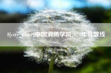 乌鲁木齐中国消防学院2024年分数线