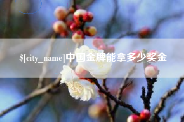 乌鲁木齐中国金牌能拿多少奖金