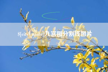 乌鲁木齐九宫图分割线图片