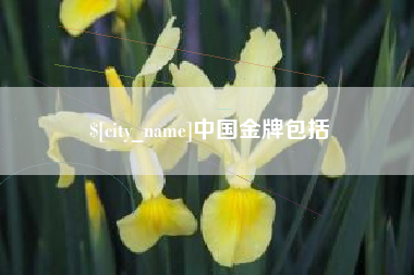 乌鲁木齐中国金牌包括