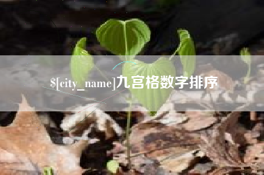乌鲁木齐九宫格数字排序