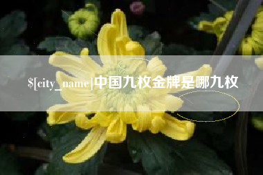乌鲁木齐中国九枚金牌是哪九枚