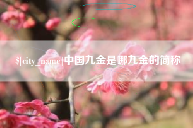 乌鲁木齐中国九金是哪九金的简称