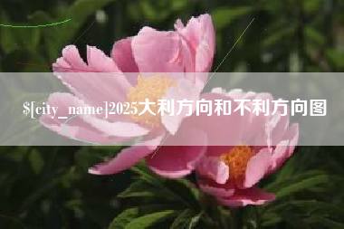 乌鲁木齐2025大利方向和不利方向图