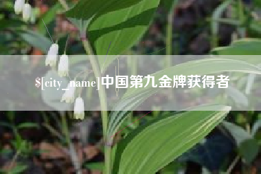 乌鲁木齐中国第九金牌获得者