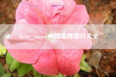 乌鲁木齐中国金牌图片大全