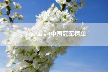 乌鲁木齐中国冠军榜单