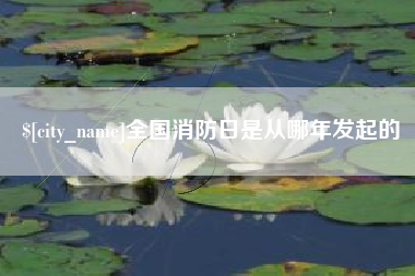 乌鲁木齐全国消防日是从哪年发起的