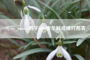 乌鲁木齐男子5000米年龄成绩对照表