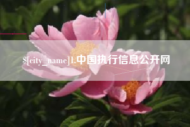 乌鲁木齐1.中国执行信息公开网
