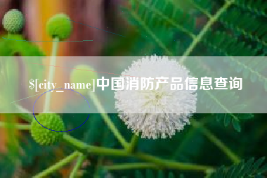 乌鲁木齐中国消防产品信息查询