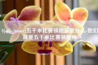 乌鲁木齐五千米比赛领跑员是什么-他们就是五千米比赛领跑员