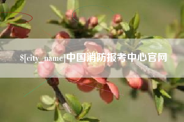 乌鲁木齐中国消防报考中心官网