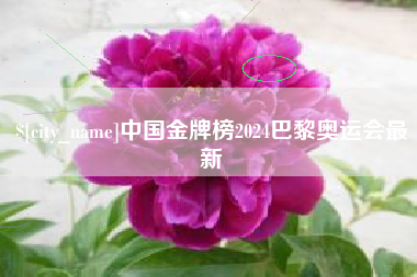 乌鲁木齐中国金牌榜2024巴黎奥运会最新