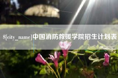 乌鲁木齐中国消防救援学院招生计划表