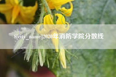 乌鲁木齐2020年消防学院分数线