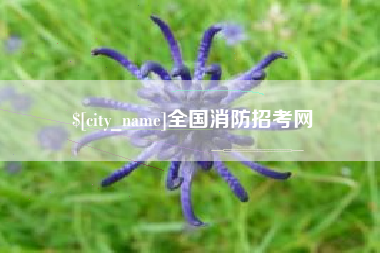 乌鲁木齐全国消防招考网