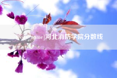 乌鲁木齐河北消防学院分数线
