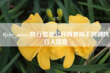 乌鲁木齐执行信息公开网查询不到被执行人信息