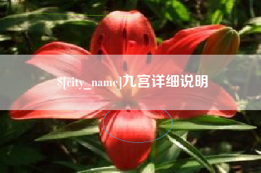 乌鲁木齐九宫详细说明