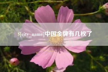 乌鲁木齐中国金牌有几枚了