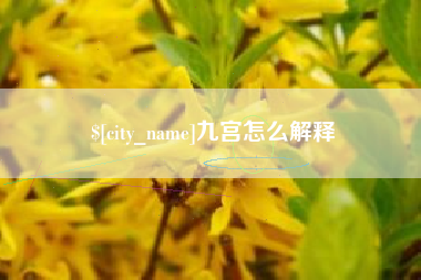 乌鲁木齐九宫怎么解释