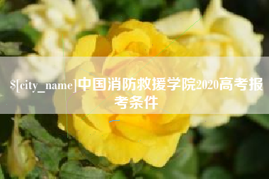 乌鲁木齐中国消防救援学院2020高考报考条件