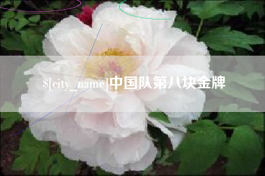 乌鲁木齐中国队第八块金牌