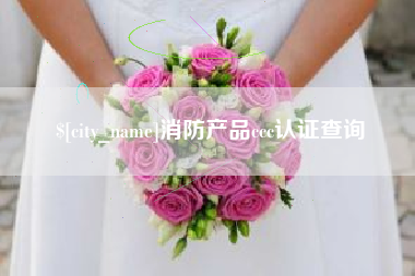 乌鲁木齐消防产品ccc认证查询