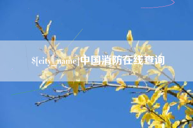 乌鲁木齐中国消防在线查询