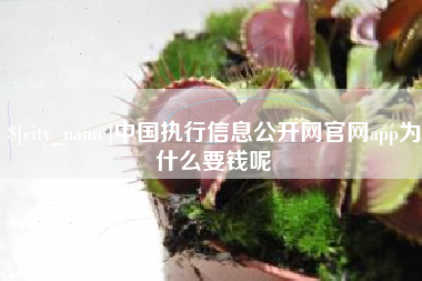 乌鲁木齐中国执行信息公开网官网app为什么要钱呢