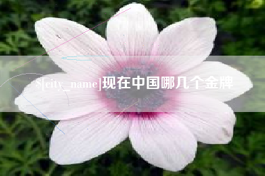 乌鲁木齐现在中国哪几个金牌