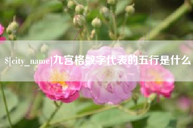 乌鲁木齐九宫格数字代表的五行是什么