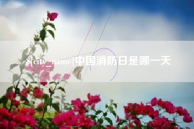 乌鲁木齐中国消防日是哪一天