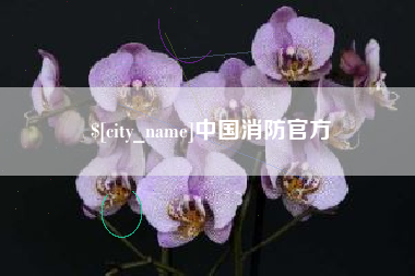 乌鲁木齐中国消防官方