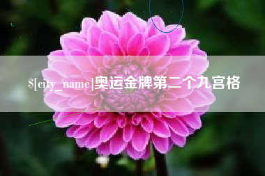 乌鲁木齐奥运金牌第二个九宫格