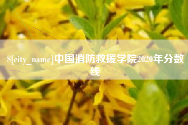 乌鲁木齐中国消防救援学院2020年分数线