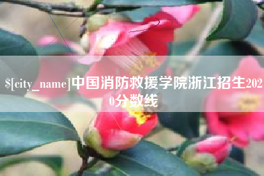 乌鲁木齐中国消防救援学院浙江招生2020分数线