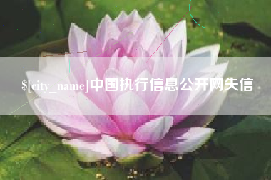 乌鲁木齐中国执行信息公开网失信