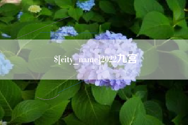 乌鲁木齐2022九宫