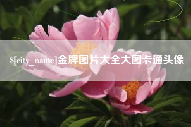 乌鲁木齐金牌图片大全大图卡通头像