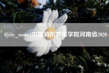 乌鲁木齐中国消防救援学院河南省2020